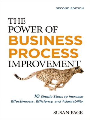 The Power of Business Process Improvement - ebook